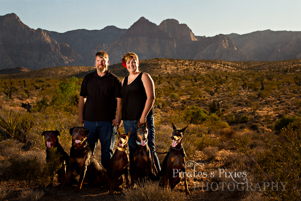 desert-enagement-with-dogs001