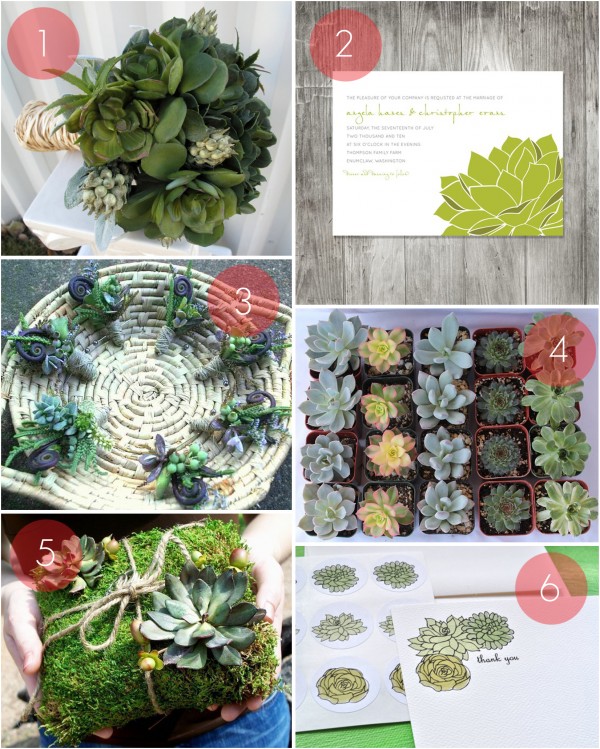 wedding desert succulents