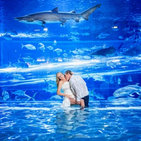 Golden Nugget Las Vegas Wedding