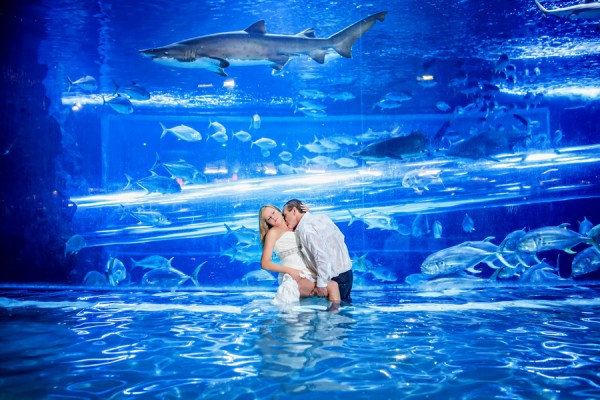 Golden Nugget Las Vegas Wedding