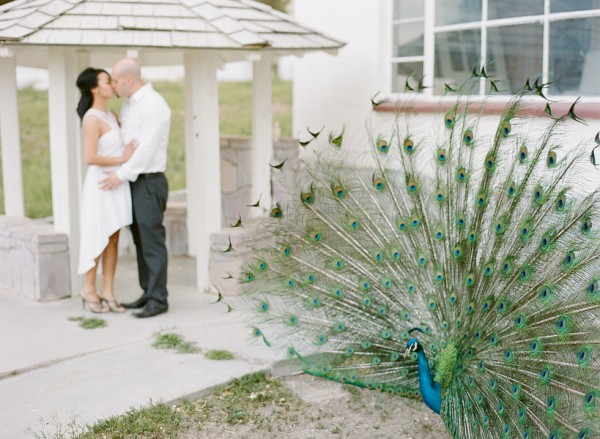 gaby-j-peacock-vegas002