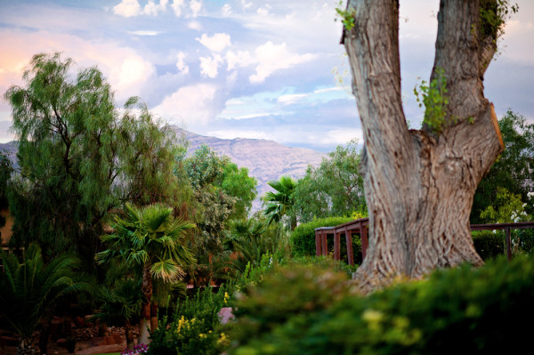 Kristen Weaver Photo - The Grove - Las Vegas Wedding