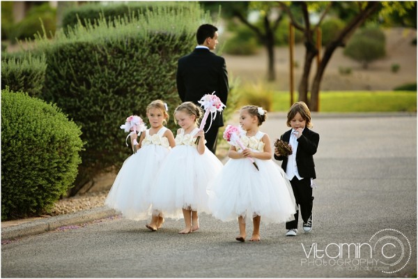 Siena Golf Club Wedding in Las Vegas | Vitamin C Photography