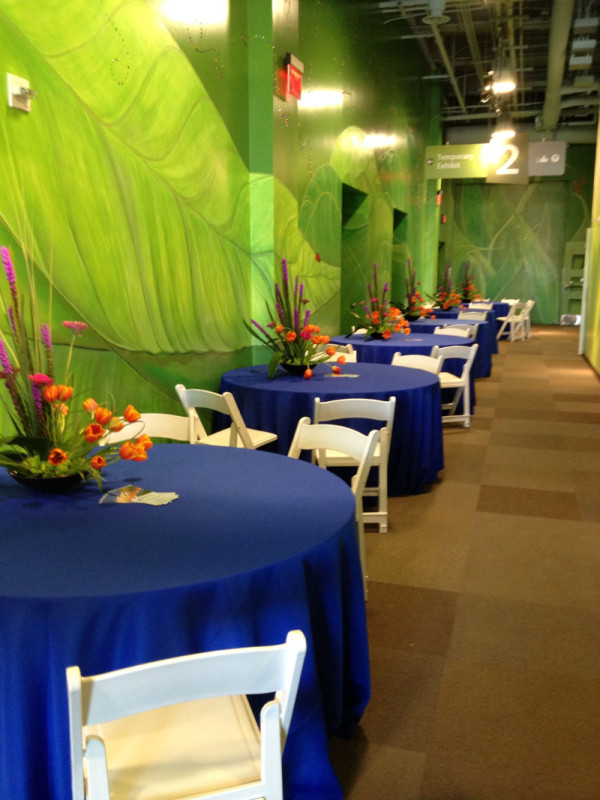 Wedding Venues at DISCOVERY Children's Museum | LIttle Vegas Wedding