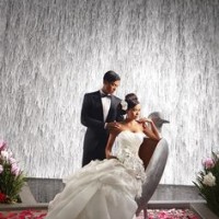 Aria Las Vegas Weddings | Little Vegas Wedding Venue Guide