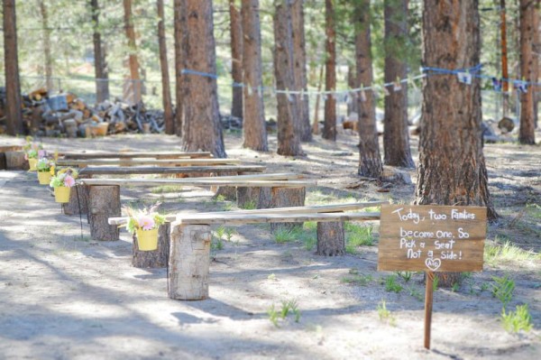 DIY Mount Charleston Wedding | Little Vegas Wedding