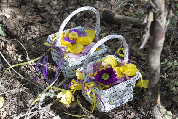 Las Vegas Ski + Snowboard Resort | Little Vegas Wedding