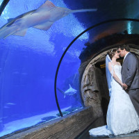 Seascape Ballroom Mandalay Bay Wedding | Little Vegas Wedding