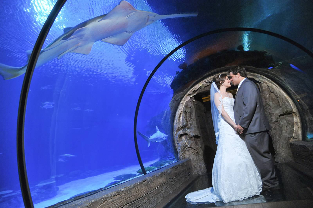 Vintage Travel Themed Wedding at Mandalay Bay's Shark Reef