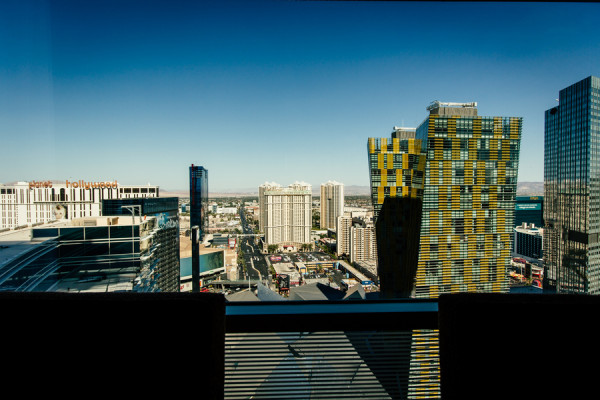 Elvis Vow Renewal | Little Vegas Wedding