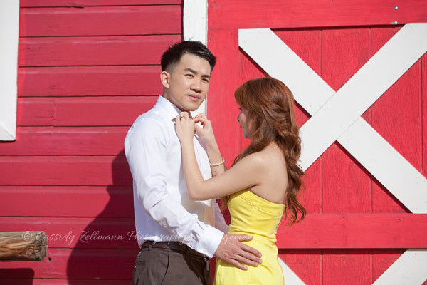 Up Themed Engagement | Little Vegas Wedding