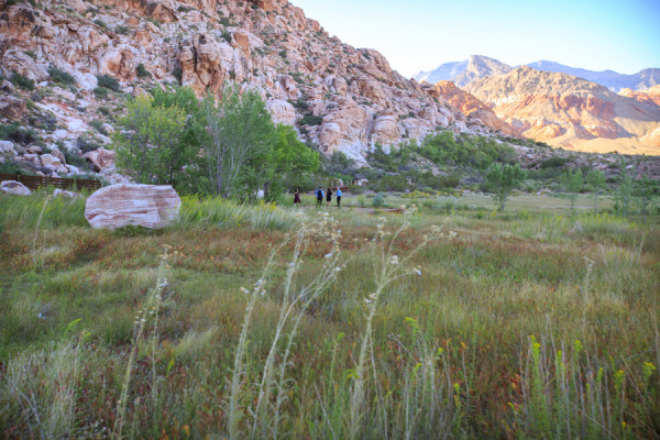 Red Rock Canyon Elopement | Little Vegas Wedding