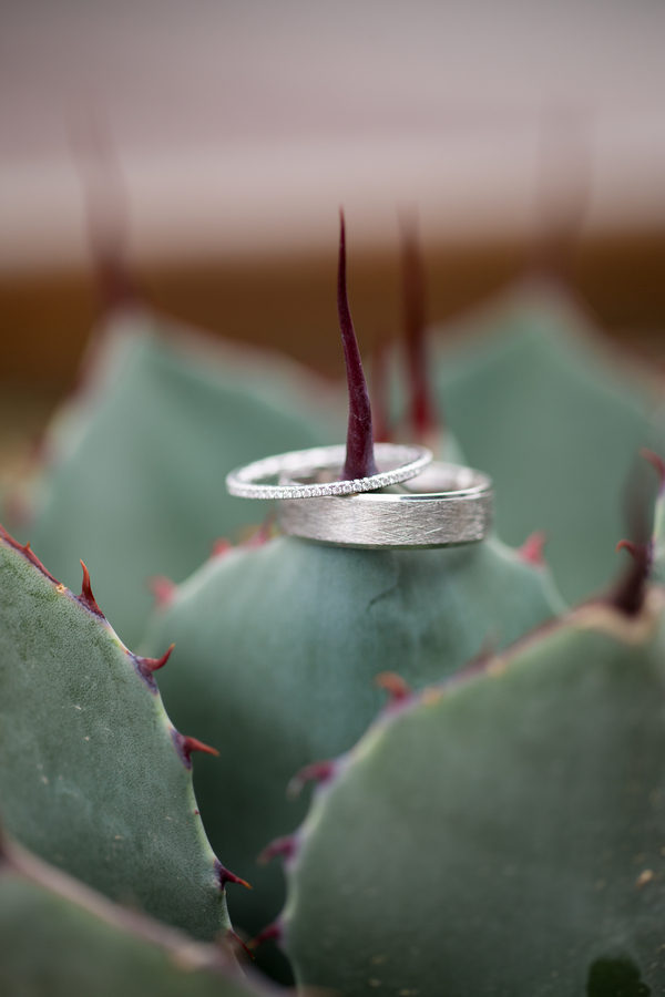 Downtown Elopement | Little Vegas Wedding