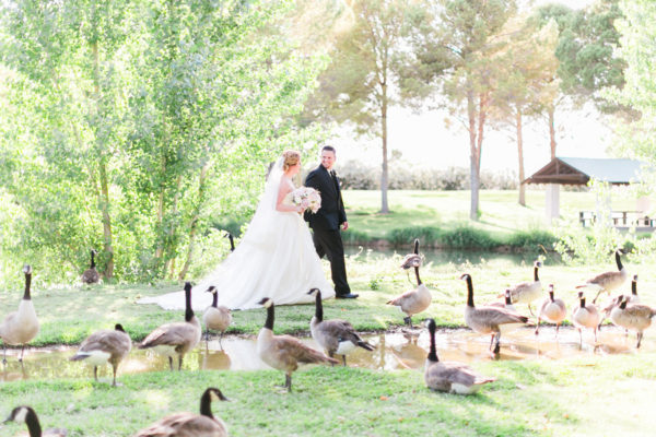 Cold Creek | Little Vegas Wedding