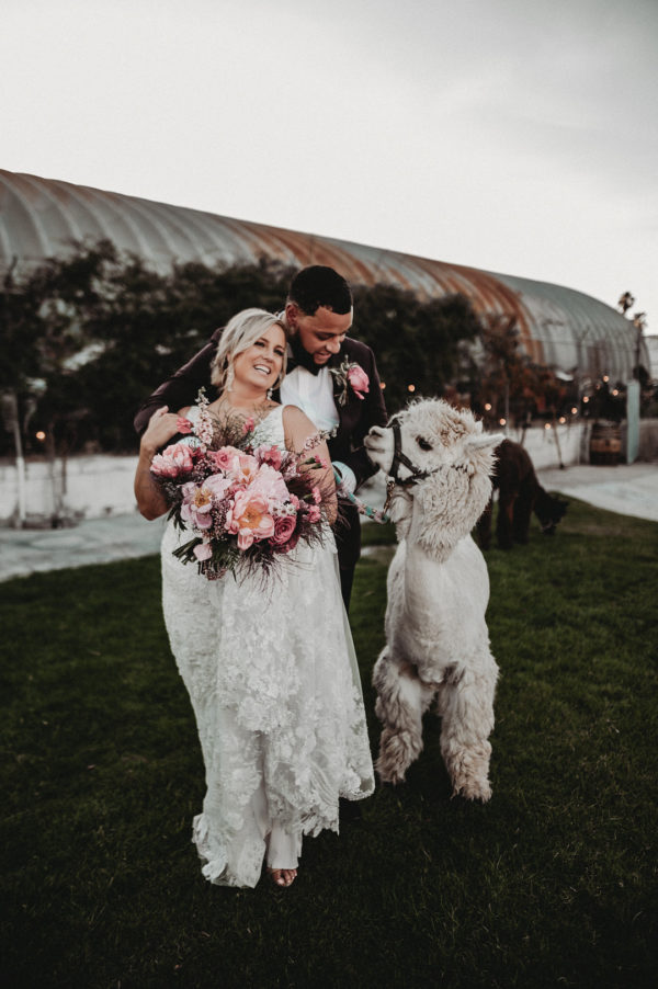 Downtown Vegas elopement at The Doyle | Little Vegas Wedding