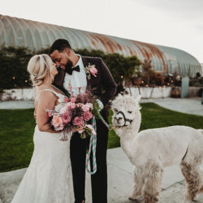 Downtown Vegas elopement at The Doyle | Little Vegas Wedding