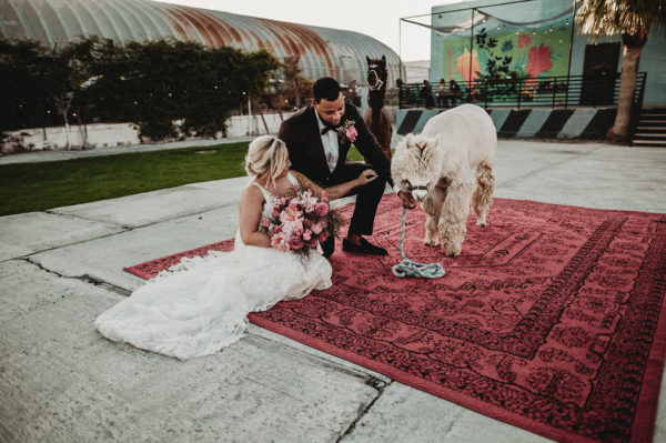 Downtown Vegas elopement at The Doyle | Little Vegas Wedding